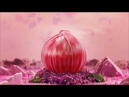 Warrior - Gode vibrateur à poussée pour femmes et couples 